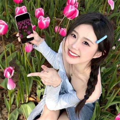 完美的独裁国家